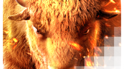 버팔로 승리 [Buffalo Win]